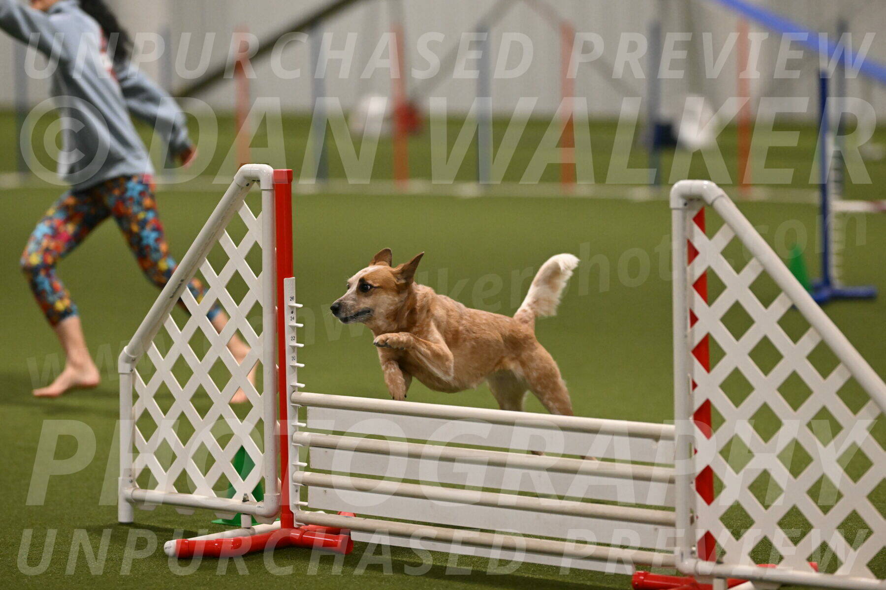 Kimber-Deanna-Rath-01588