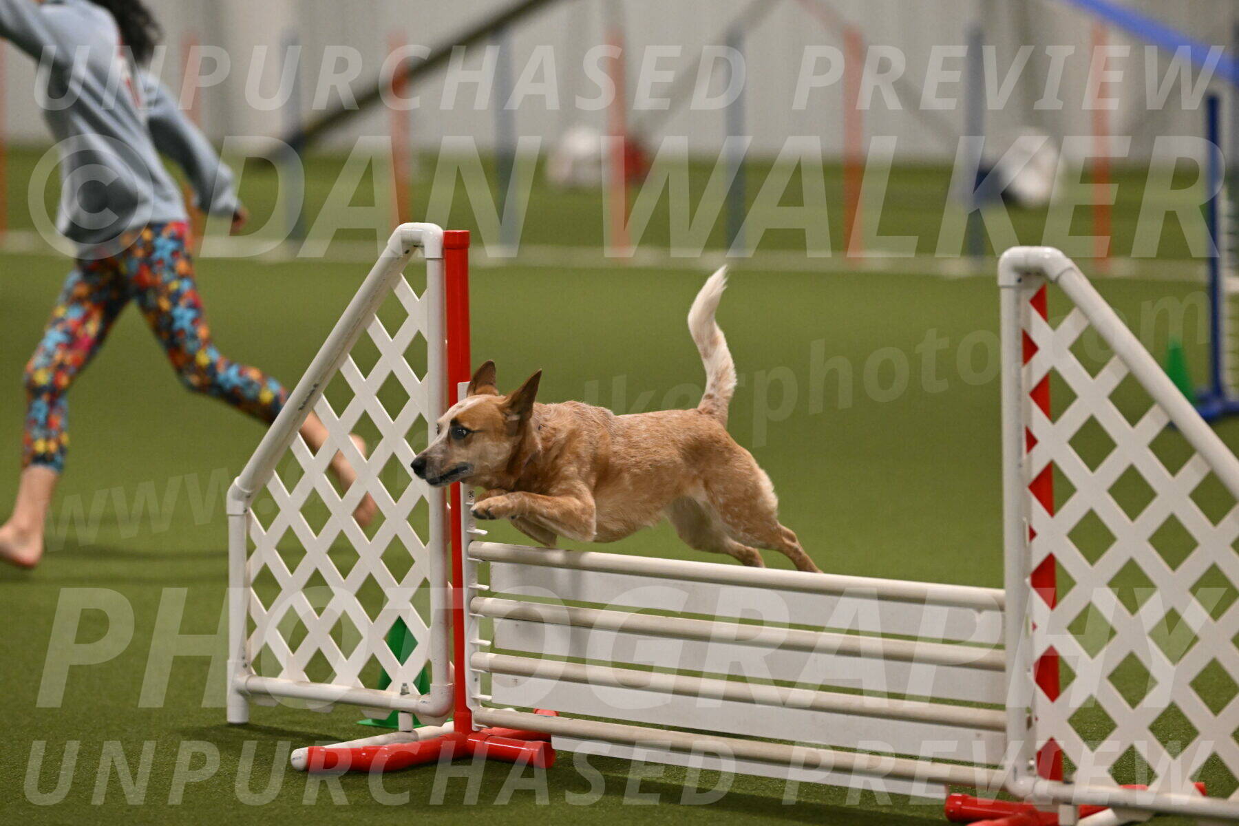 Kimber-Deanna-Rath-01589