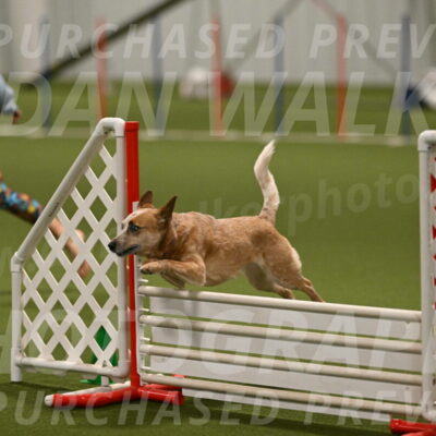 Kimber-Deanna-Rath-01589