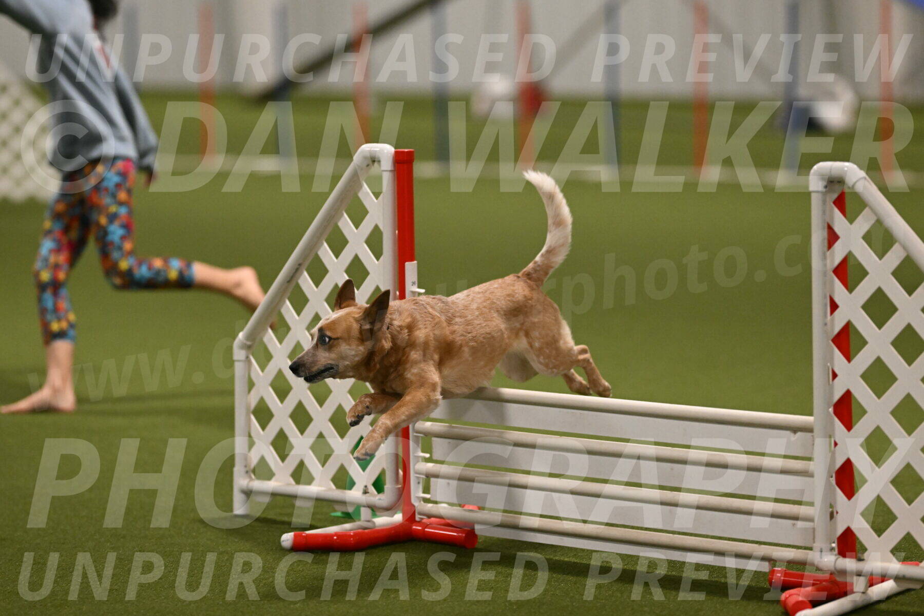 Kimber-Deanna-Rath-01590