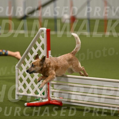 Kimber-Deanna-Rath-01590