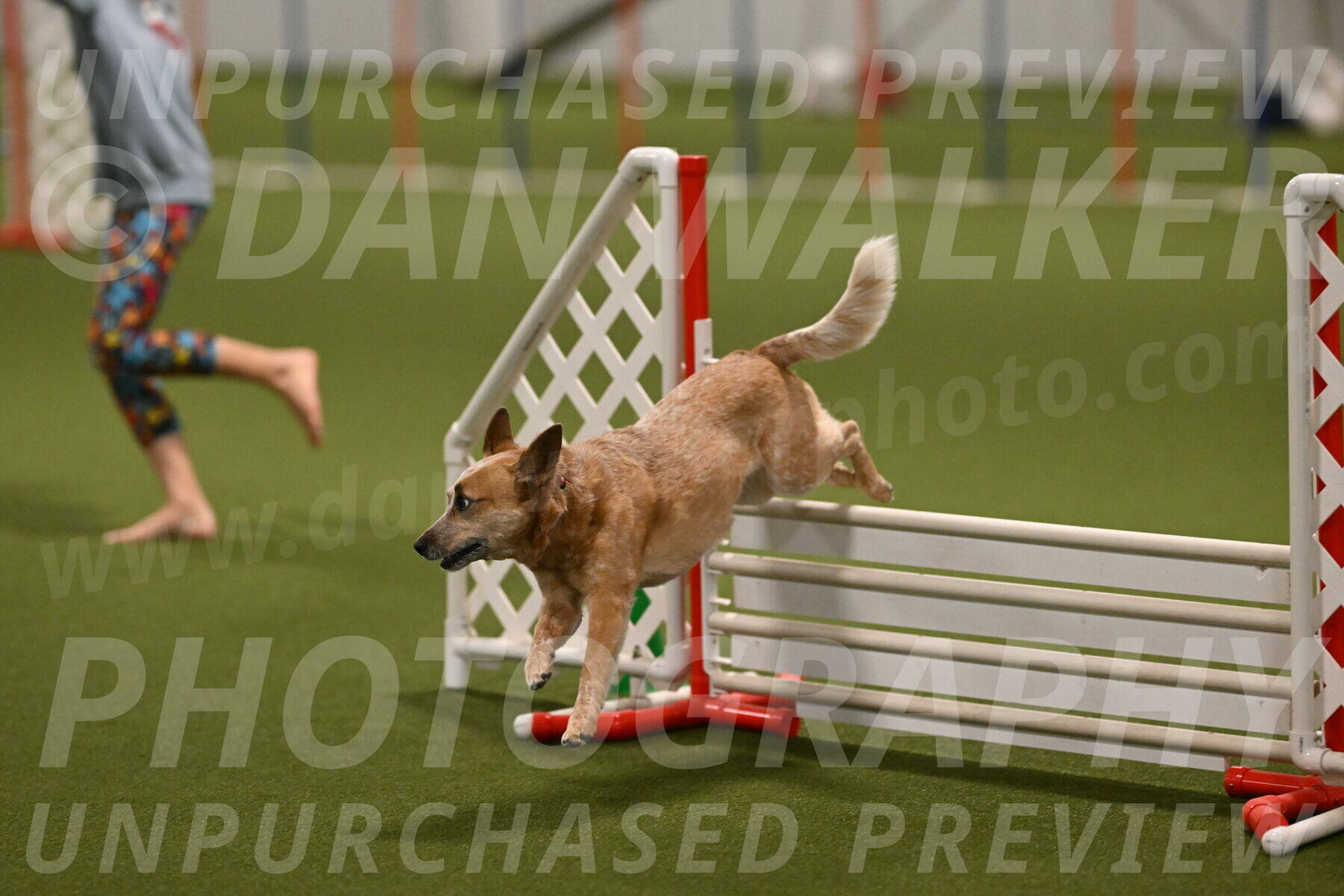 Kimber-Deanna-Rath-01591