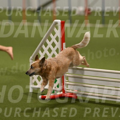 Kimber-Deanna-Rath-01591