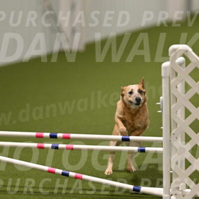 Kimber-Deanna-Rath-01593