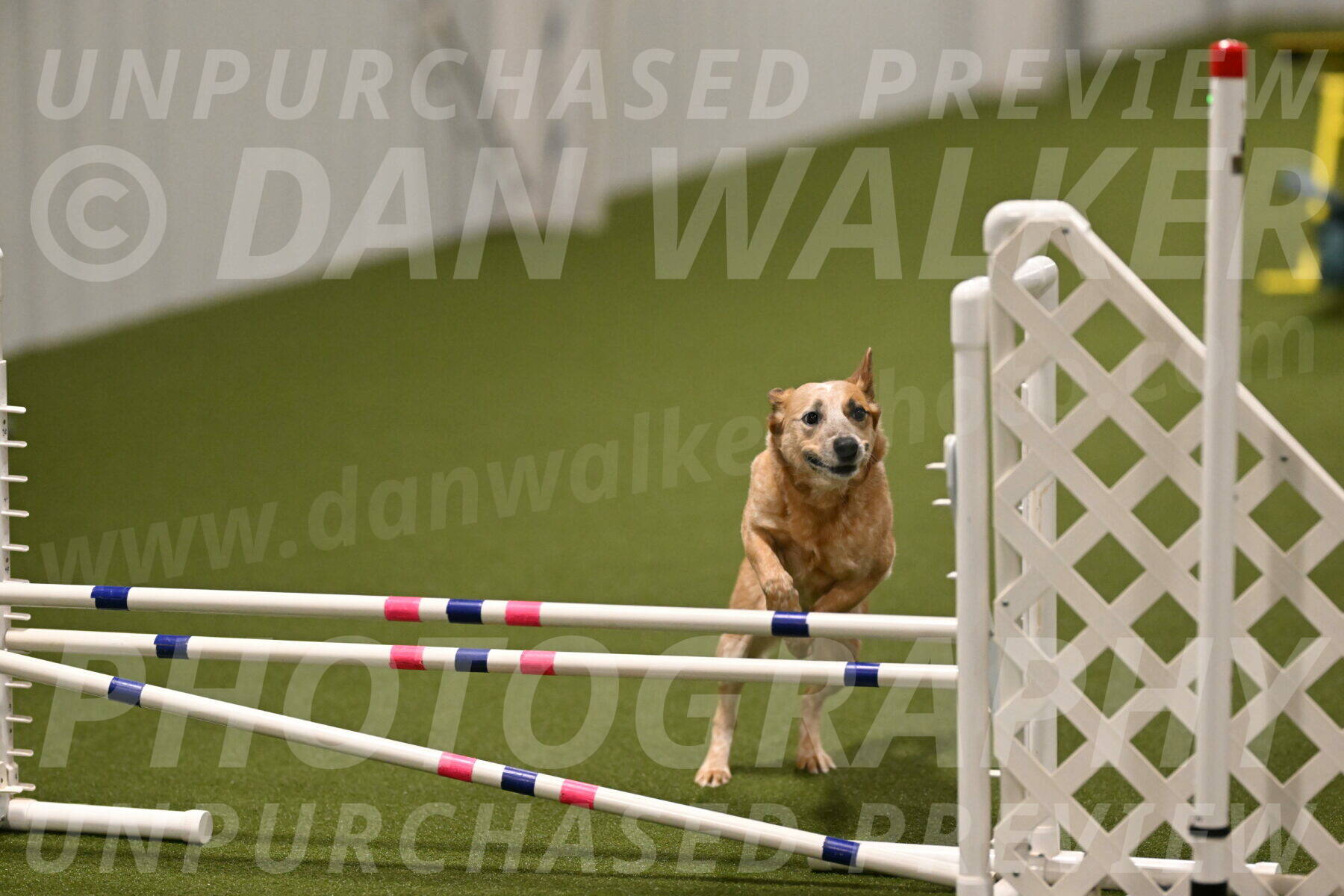 Kimber-Deanna-Rath-01593