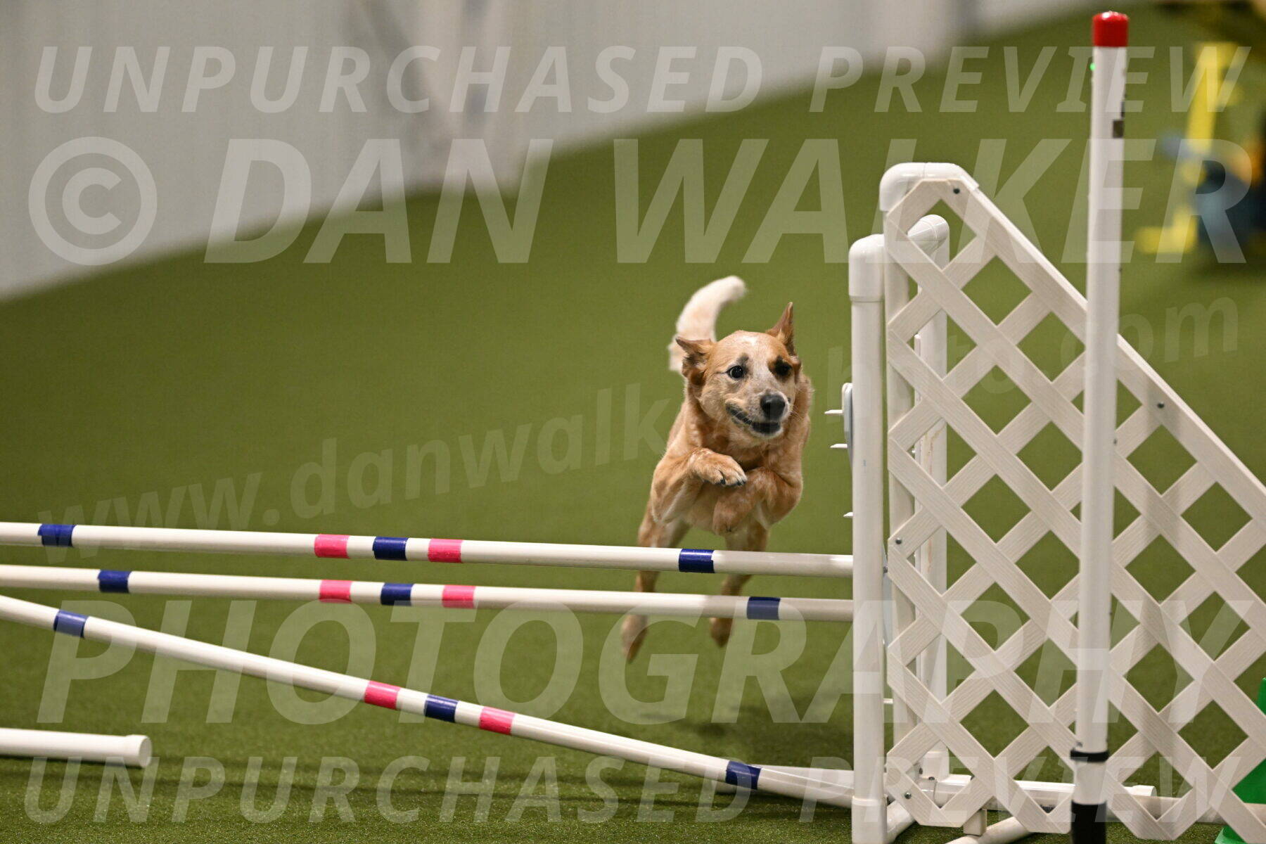 Kimber-Deanna-Rath-01594