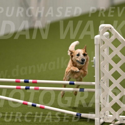 Kimber-Deanna-Rath-01594