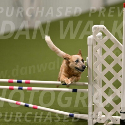 Kimber-Deanna-Rath-01595