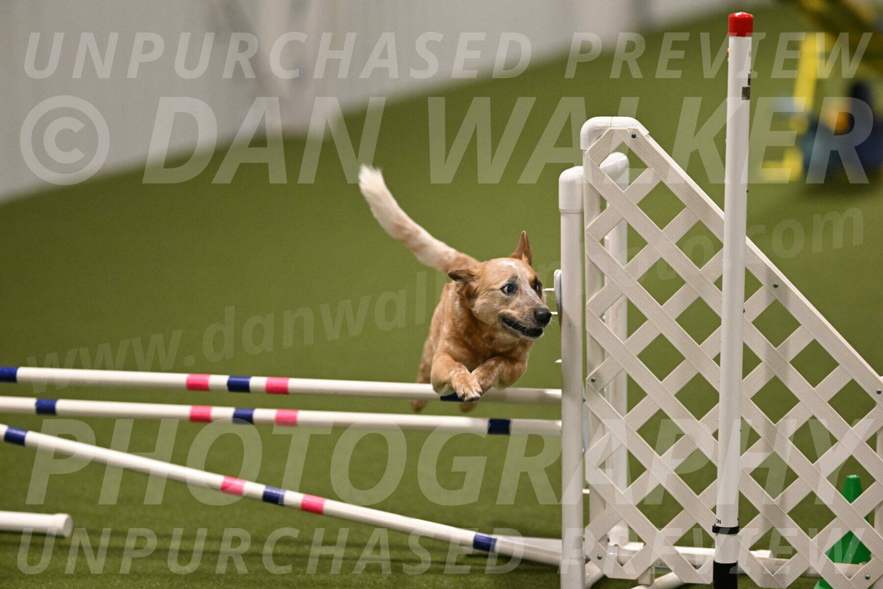 Kimber-Deanna-Rath-01595