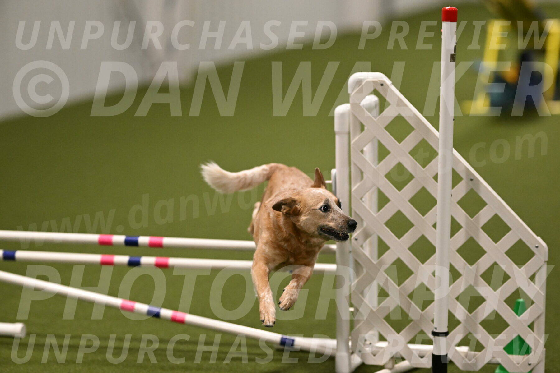 Kimber-Deanna-Rath-01596