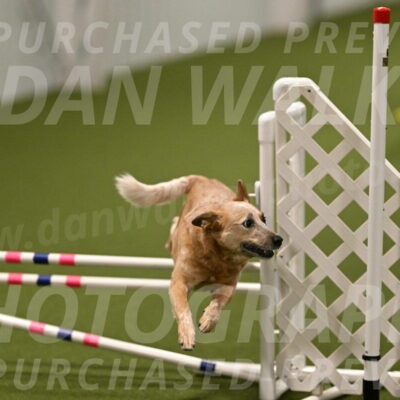 Kimber-Deanna-Rath-01596