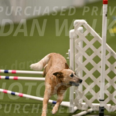 Kimber-Deanna-Rath-01597