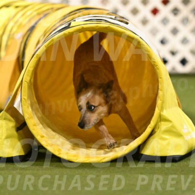 Kimber-Deanna-Rath-01598