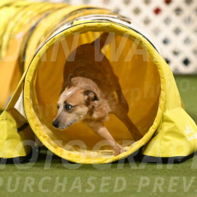 Kimber-Deanna-Rath-01599