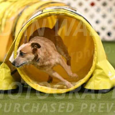 Kimber-Deanna-Rath-01600