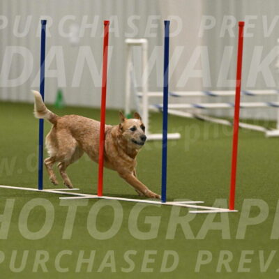 Kimber-Deanna-Rath-01601