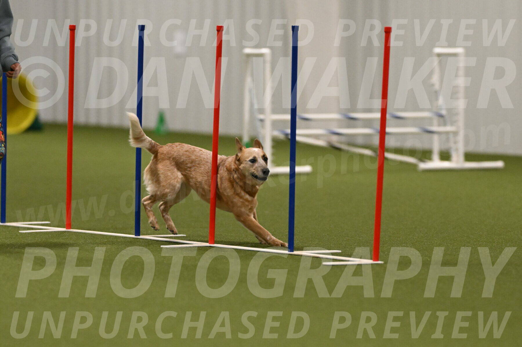 Kimber-Deanna-Rath-01601