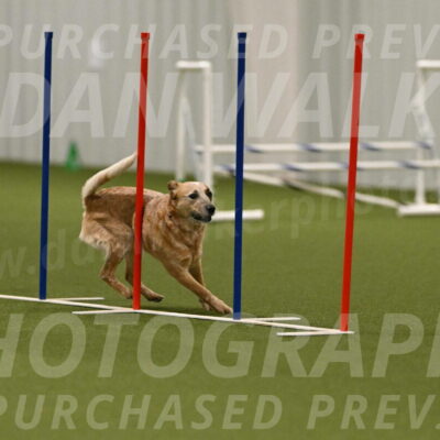 Kimber-Deanna-Rath-01602