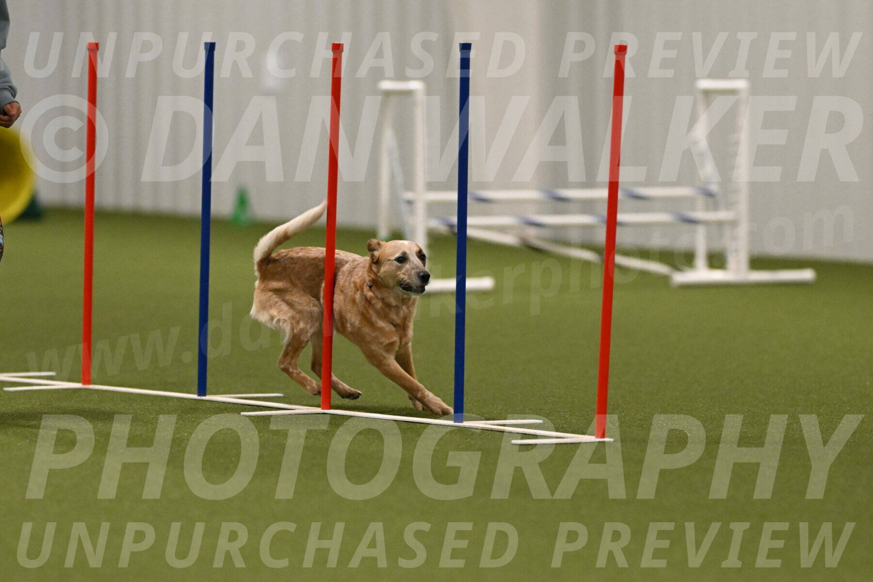 Kimber-Deanna-Rath-01602