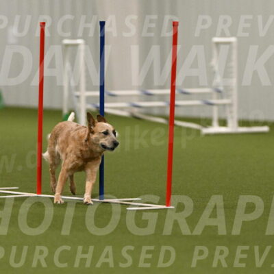 Kimber-Deanna-Rath-01603