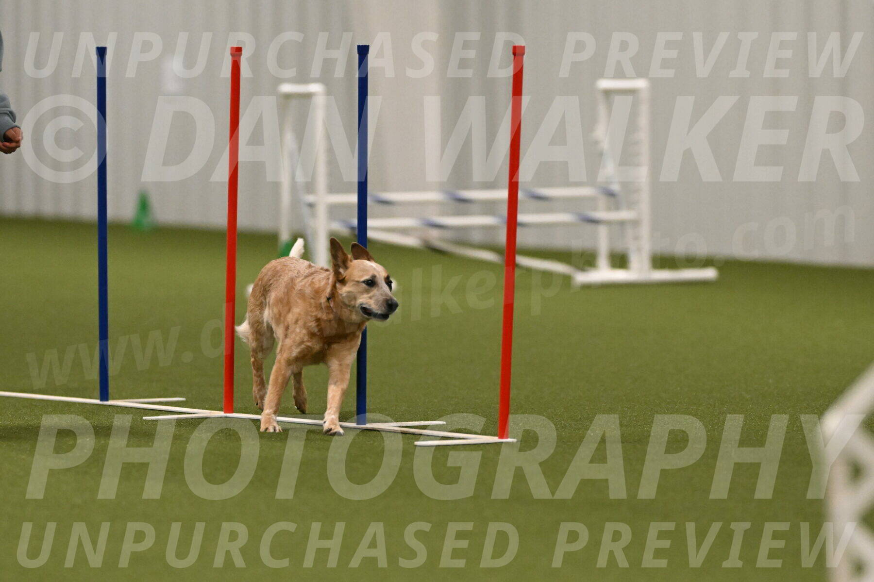 Kimber-Deanna-Rath-01603