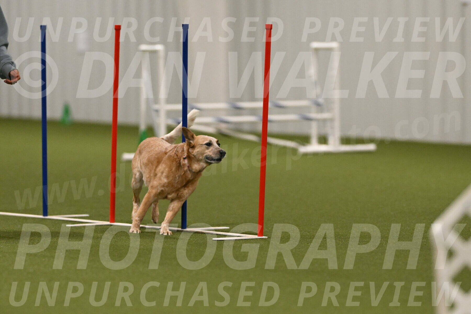 Kimber-Deanna-Rath-01604