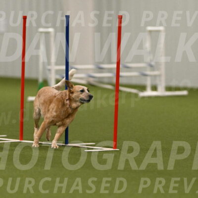 Kimber-Deanna-Rath-01604