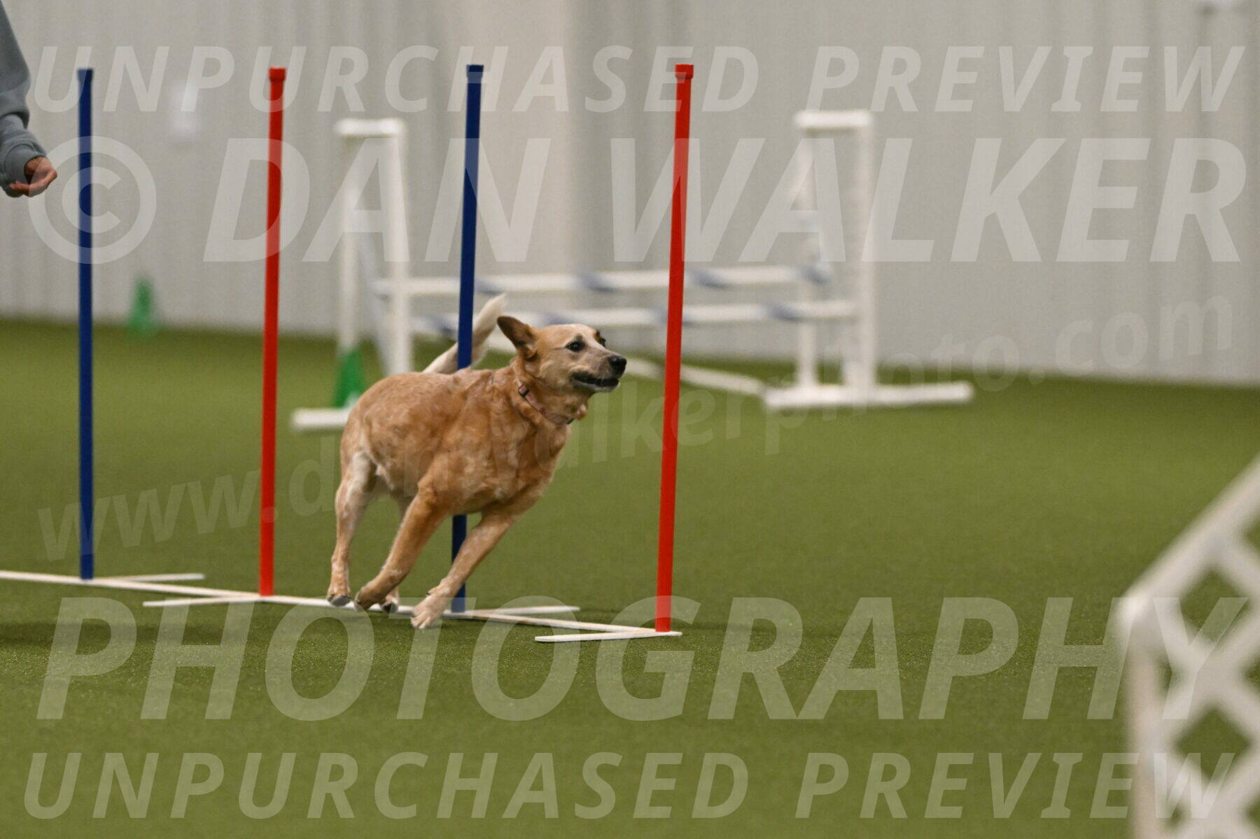 Kimber-Deanna-Rath-01605