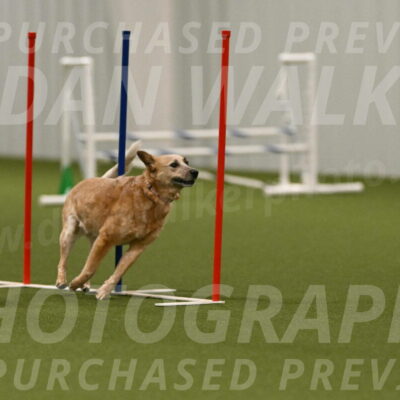 Kimber-Deanna-Rath-01605