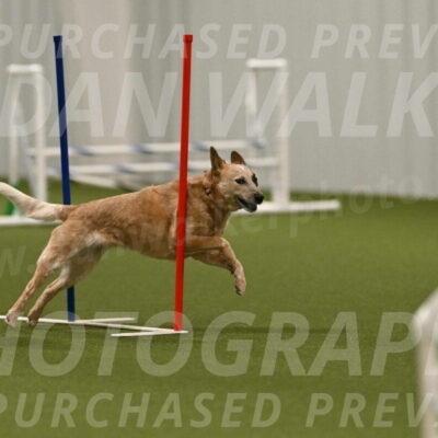 Kimber-Deanna-Rath-01606