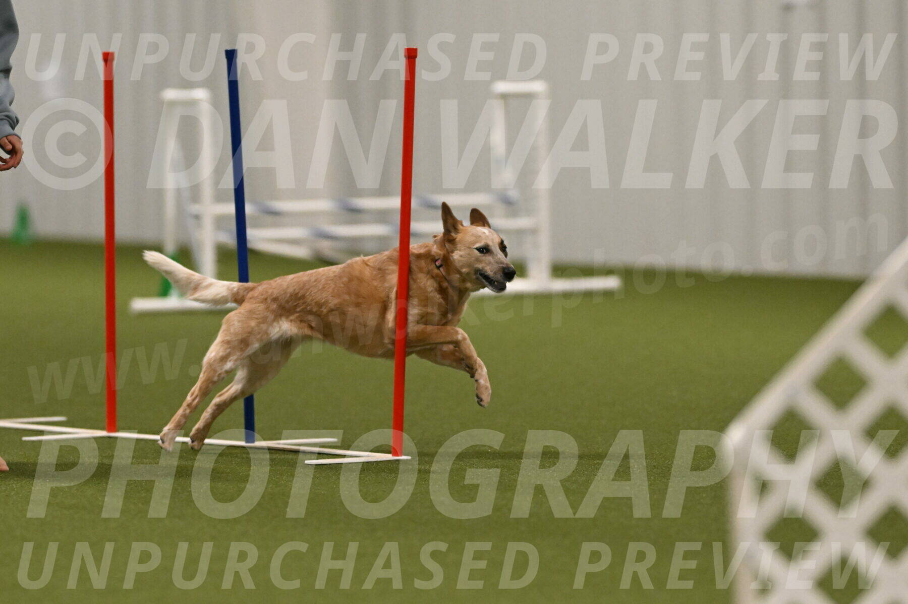 Kimber-Deanna-Rath-01606