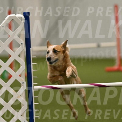 Kimber-Deanna-Rath-01607