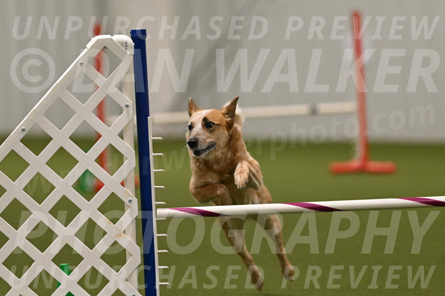 Kimber-Deanna-Rath-01607