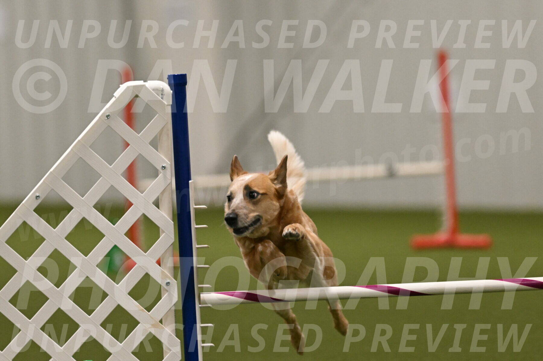 Kimber-Deanna-Rath-01608