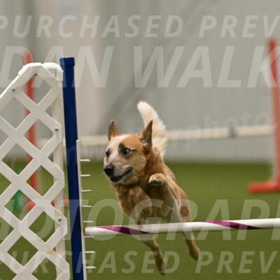 Kimber-Deanna-Rath-01608