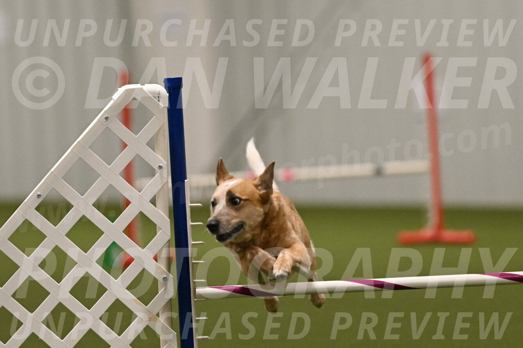 Kimber-Deanna-Rath-01609