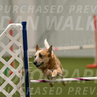 Kimber-Deanna-Rath-01609