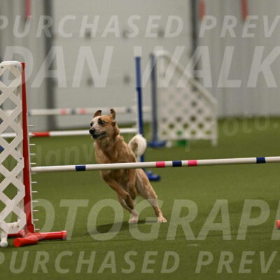 Kimber-Deanna-Rath-01610