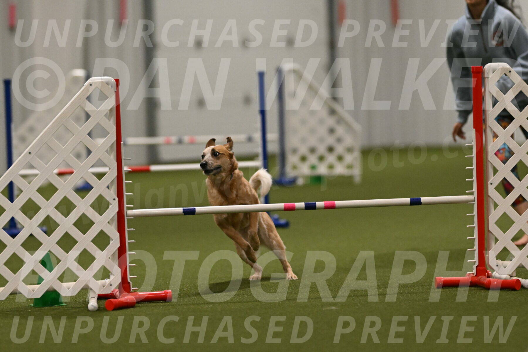 Kimber-Deanna-Rath-01610