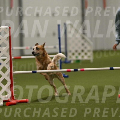 Kimber-Deanna-Rath-01611