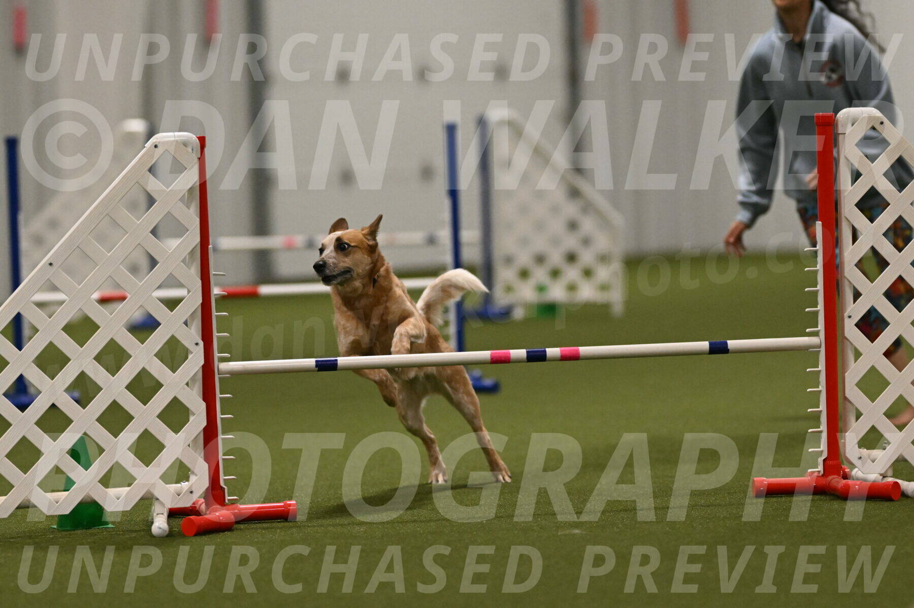 Kimber-Deanna-Rath-01611