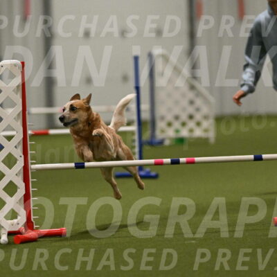 Kimber-Deanna-Rath-01612