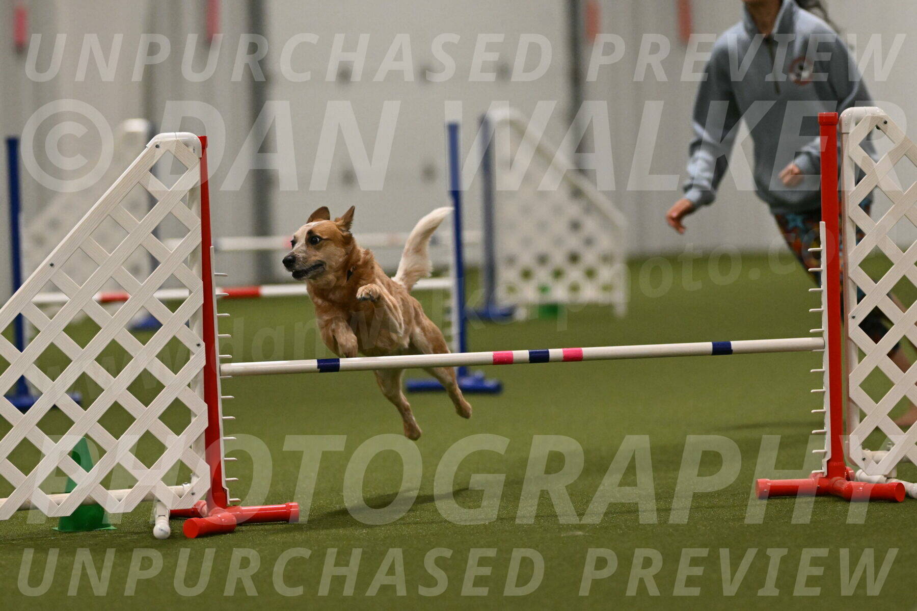 Kimber-Deanna-Rath-01612