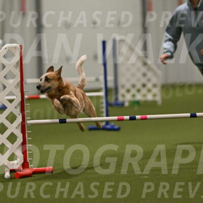 Kimber-Deanna-Rath-01613