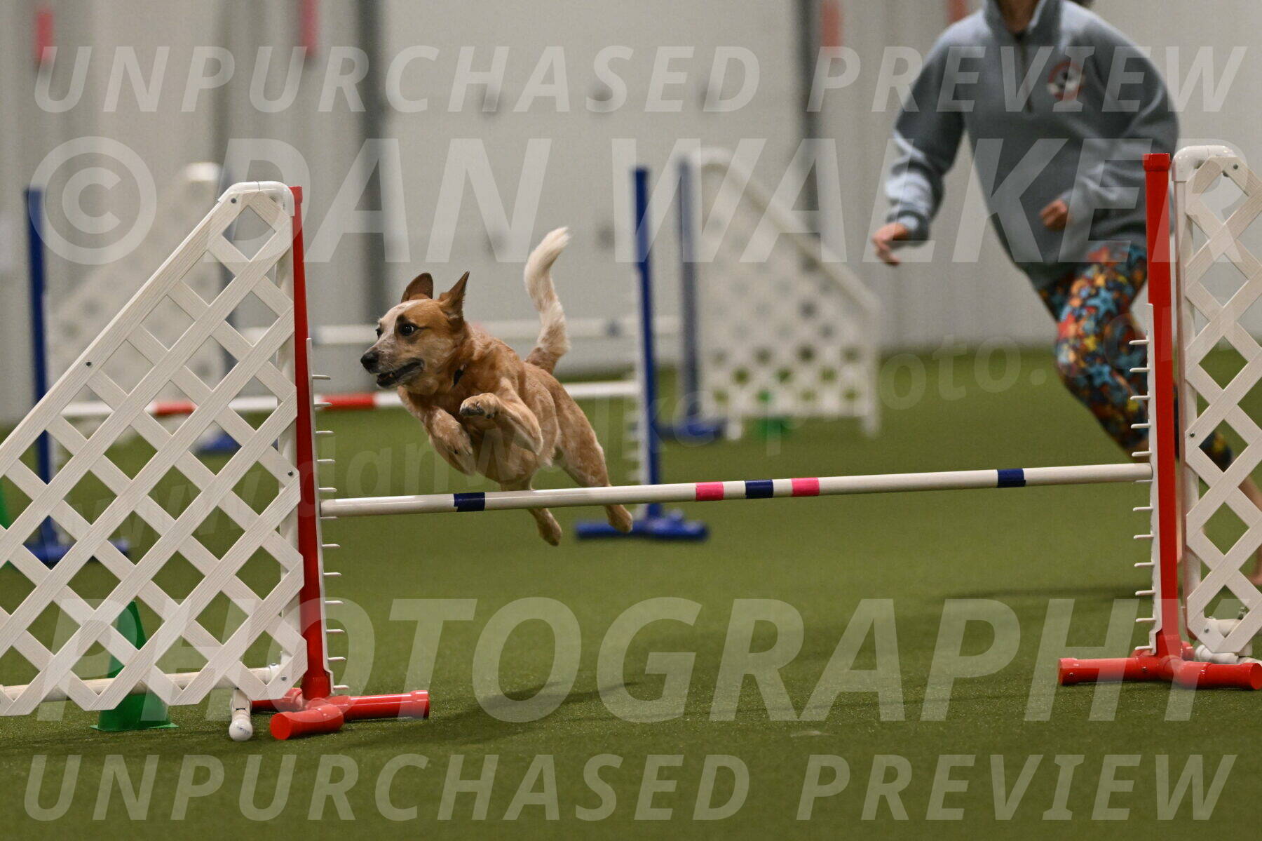 Kimber-Deanna-Rath-01613