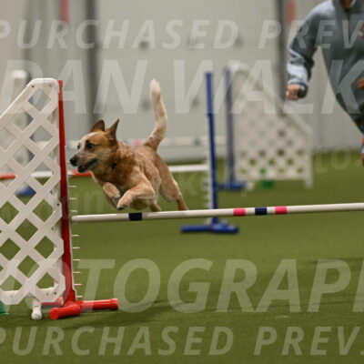 Kimber-Deanna-Rath-01614