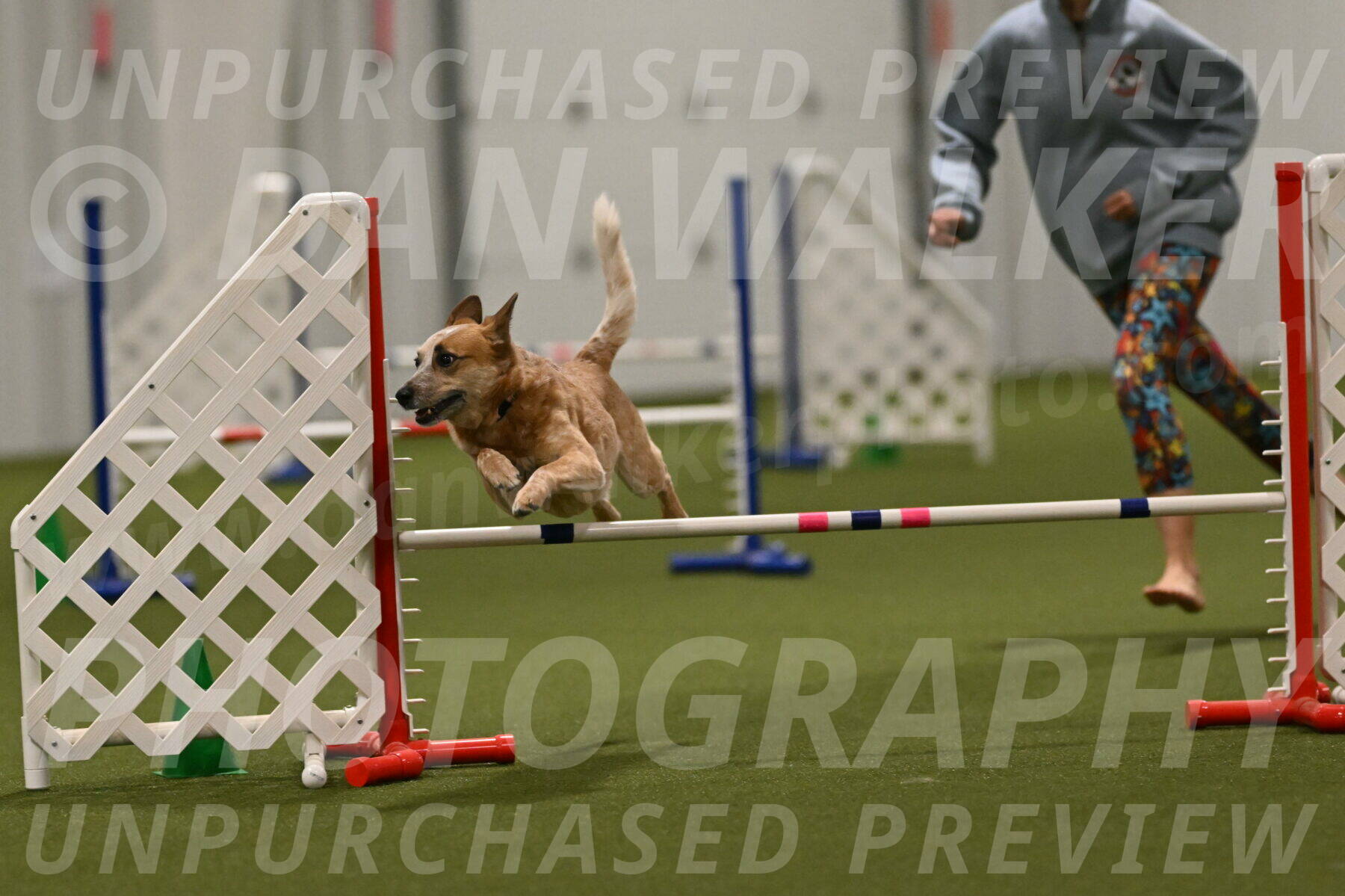 Kimber-Deanna-Rath-01614