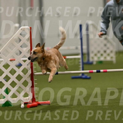 Kimber-Deanna-Rath-01615