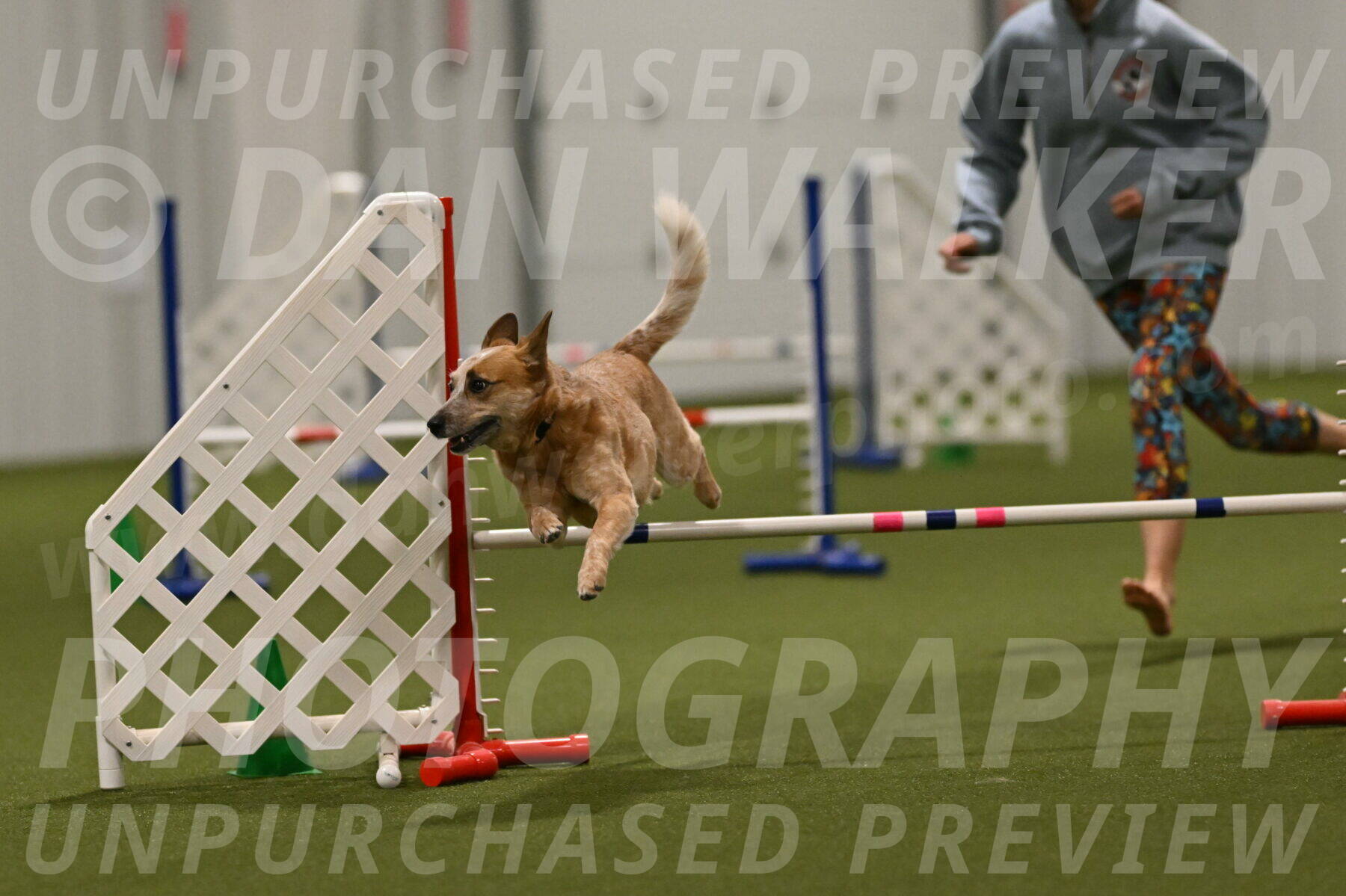 Kimber-Deanna-Rath-01615