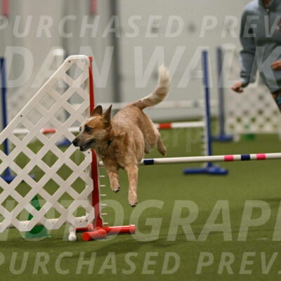 Kimber-Deanna-Rath-01616